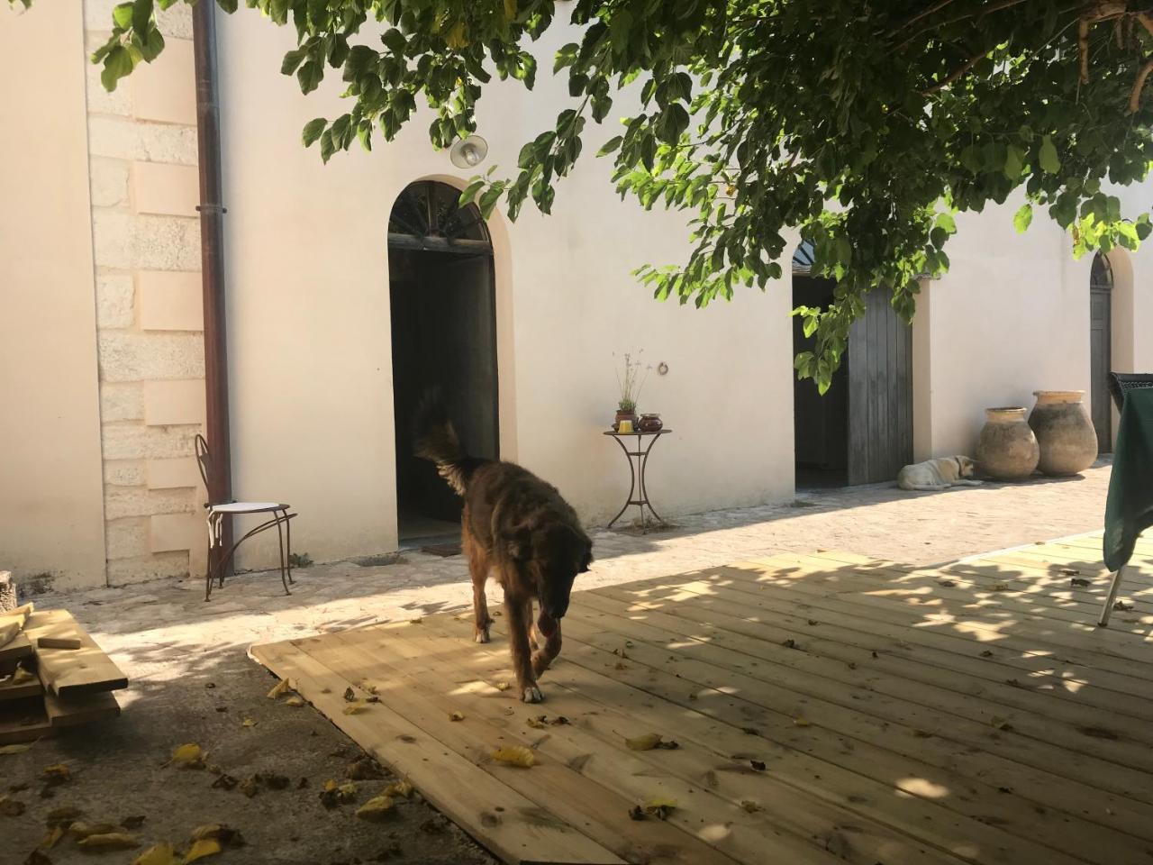 A Loghja Di Cavallo Morto ボニファシオ エクステリア 写真